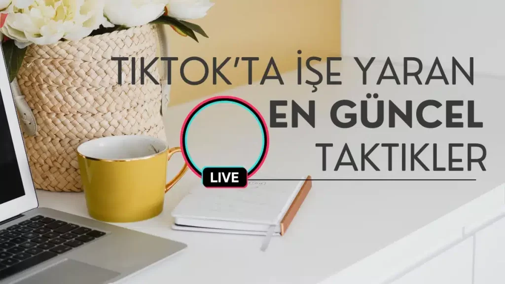 TikTok Para Kazanma Yolları- TikTok’ta İşe yaran En Güncel Taktikler