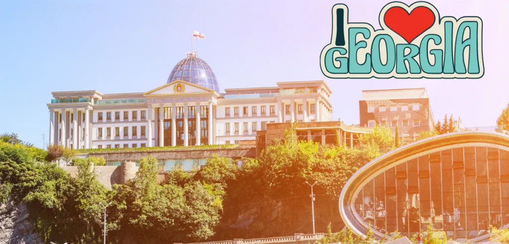 Gürcistan Yönetim Şekli - Cumhurbaşkanlığı: Devletin Başı