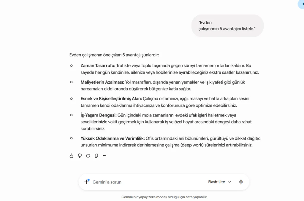 Gemini Nasıl Kullanılır? - Flash Lite (Ücretsiz, Lite Model) Testi
