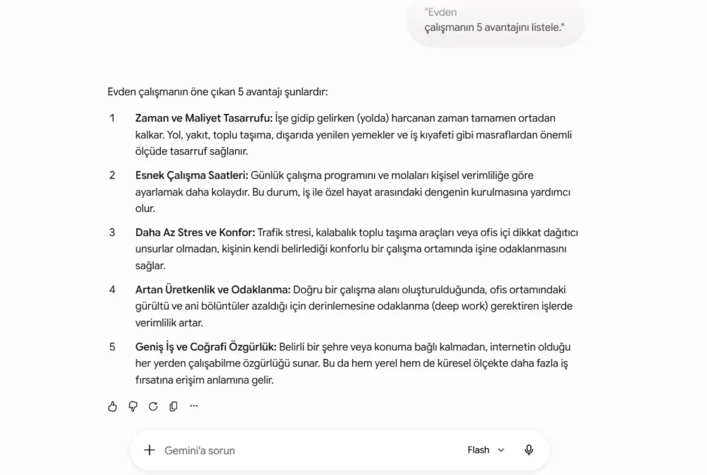 Gemini Nasıl Kullanılır - Flash (Ücretli Gemini Pro, Flash Model)