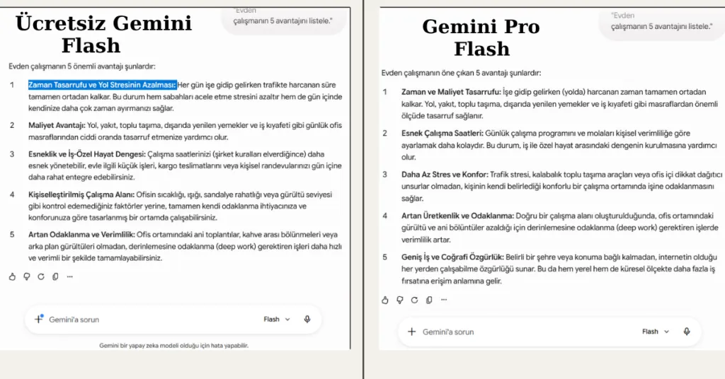 Flash Modeli: Ücretsiz vs Ücretli Karşılaştırması