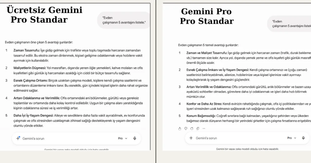 Pro Standart Modeli: Ücretsiz vs Ücretli Karşılaştırması