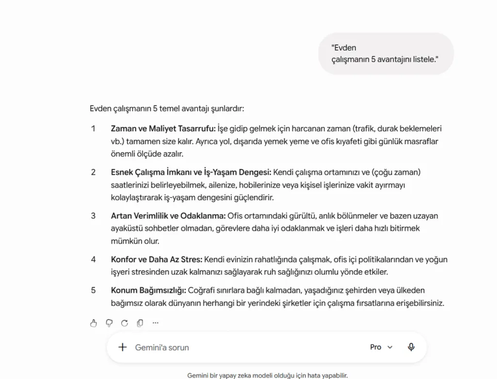 Pro Standart (Ücretli Gemini Pro, Standart Model)