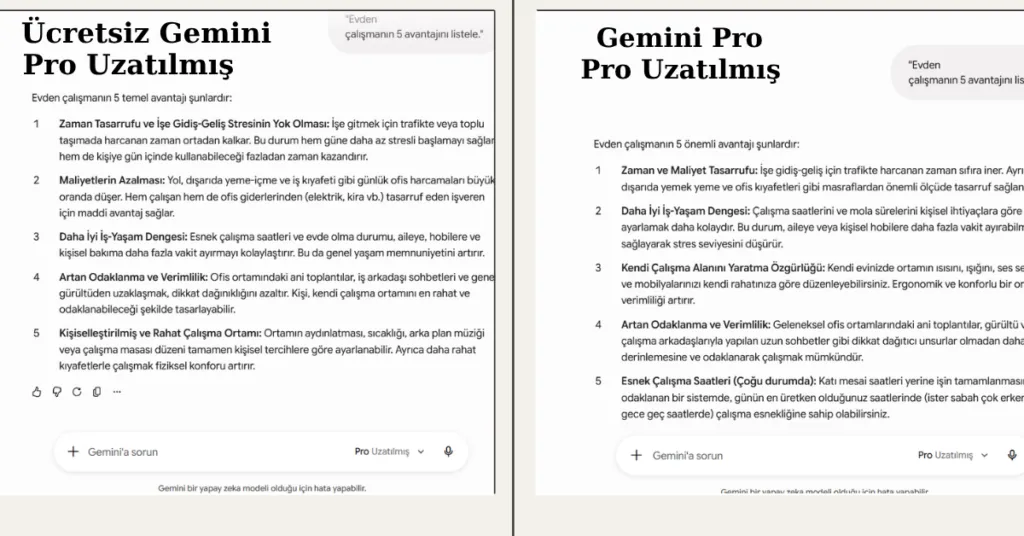 Pro Uzatılmış (Ücretli Gemini Pro, Lite Model) Karşılaştırması