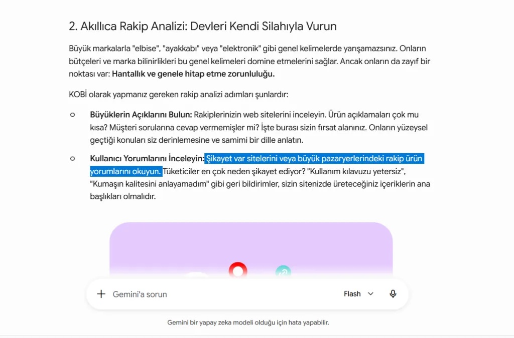 Flash Modeli Rakip Analizi