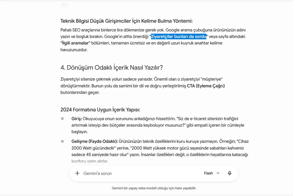 Flash Modeli - Ziyaretçi Sorguları